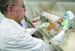 美生物科技板块短线颓势有望扭转 