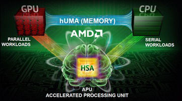 AMD第一季度净亏2000万美元 同比收窄